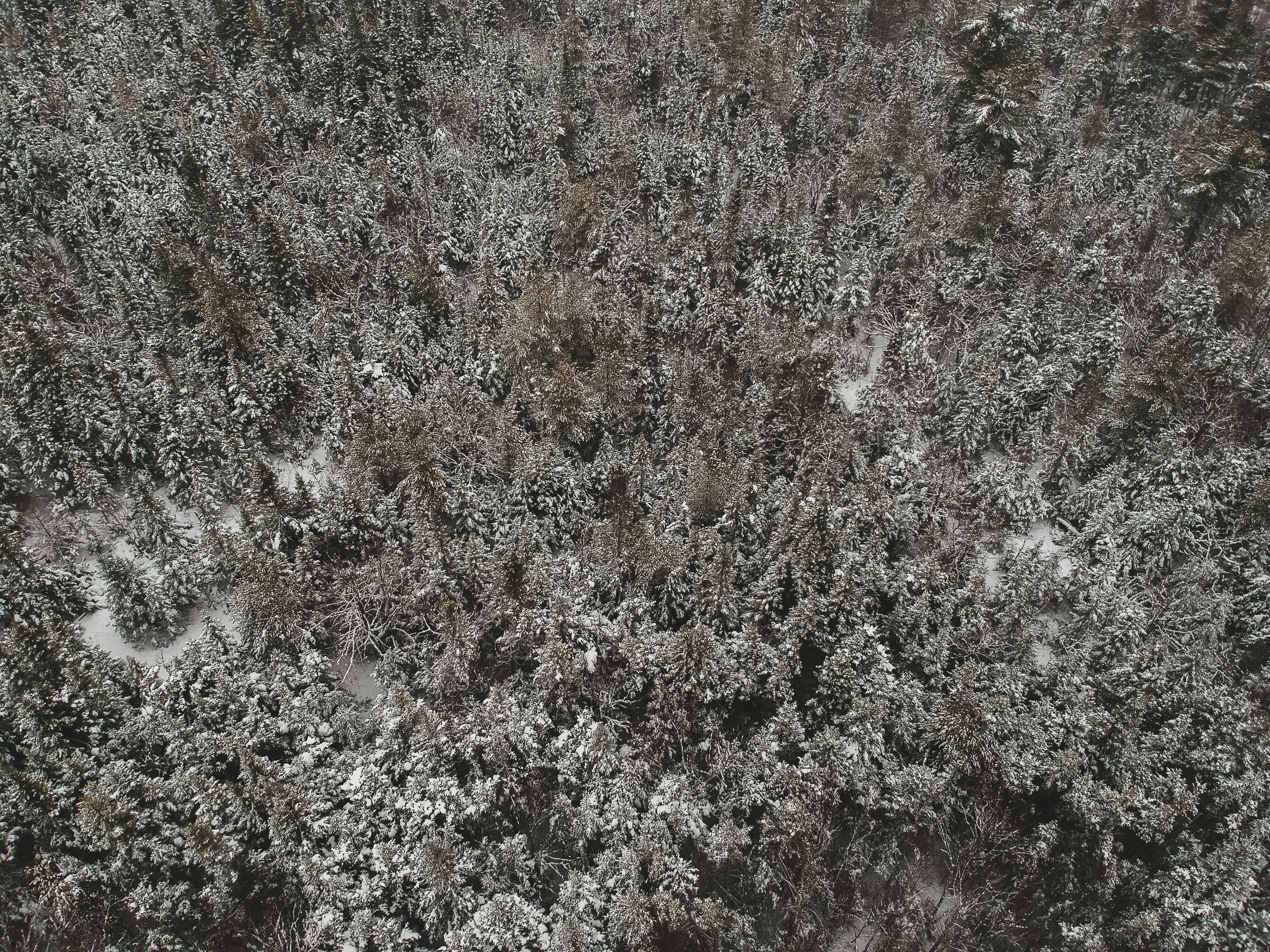 Photo by introspectivedsgn