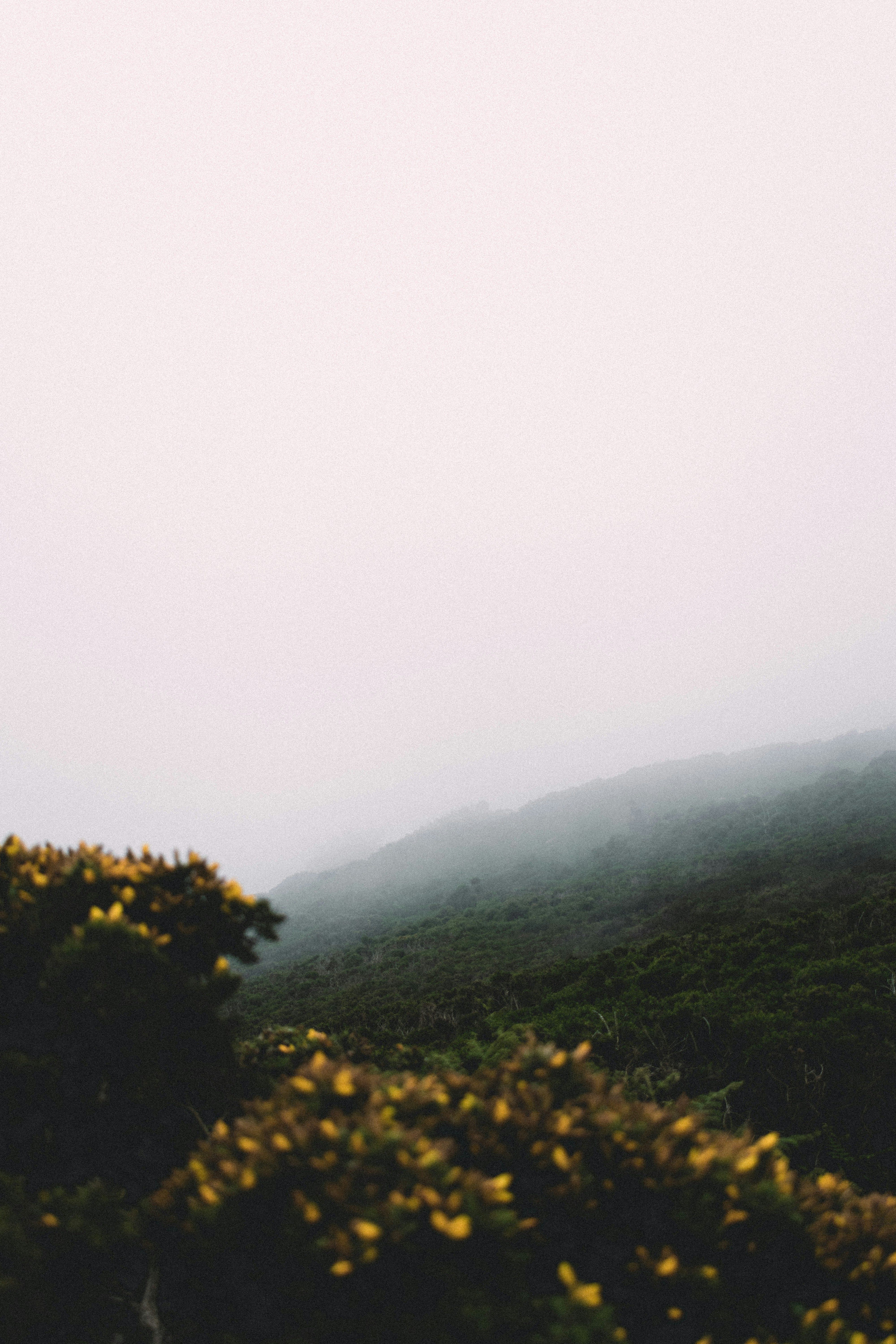 Photo by damiano_baschiera