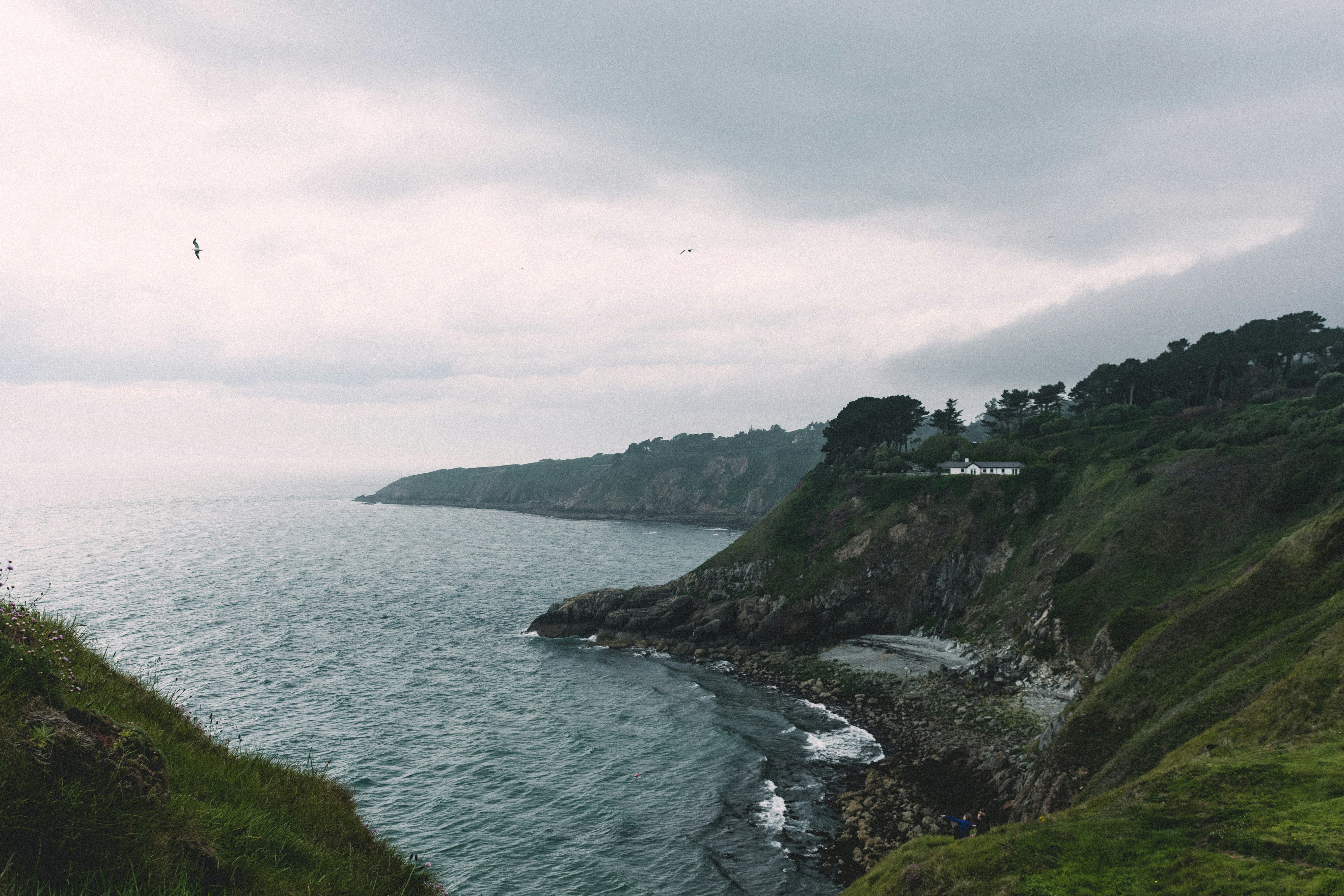 Photo by damiano_baschiera