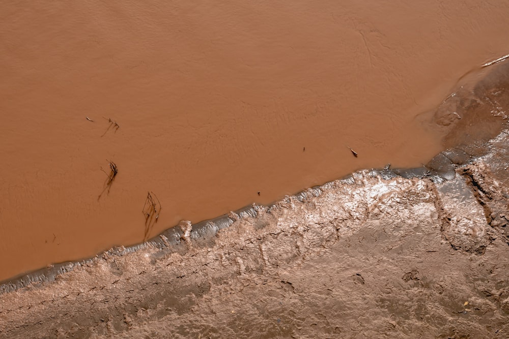 brown painted wall