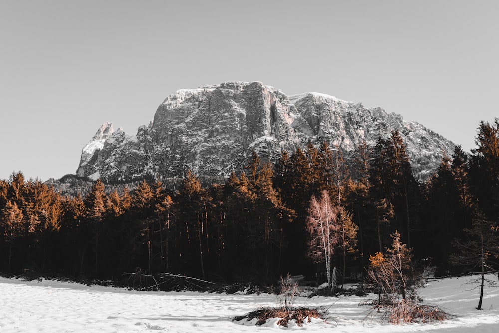 low angle photo of mountain