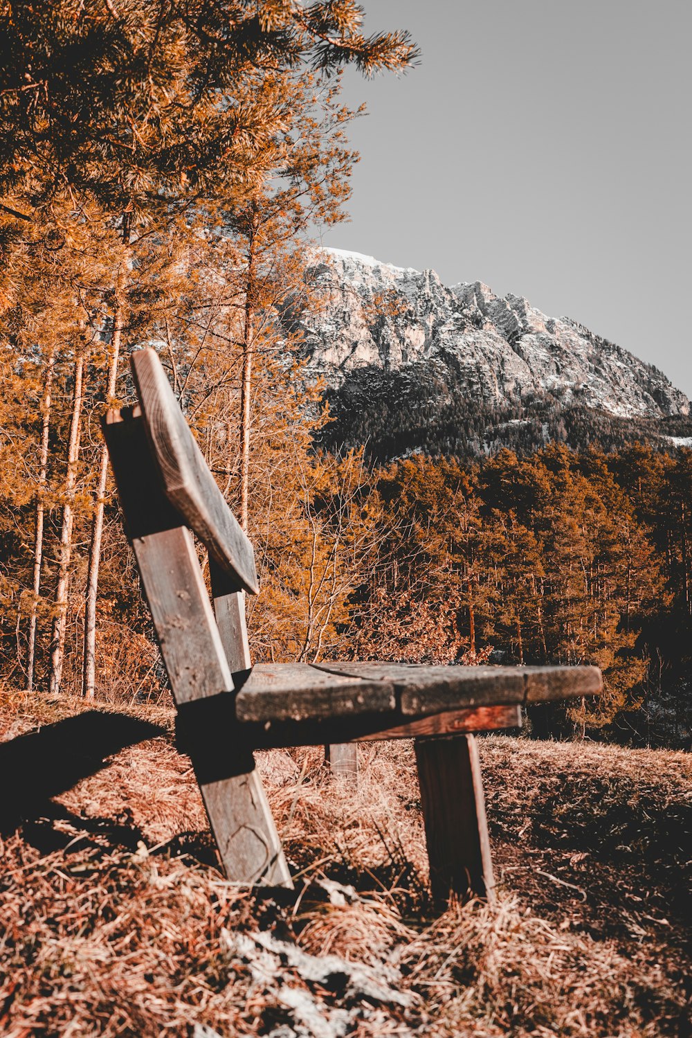 brown wooden bench