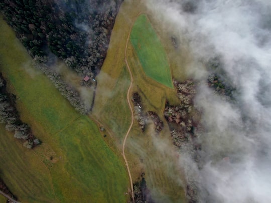 aerial photograph of forest in Saint-Brais Switzerland