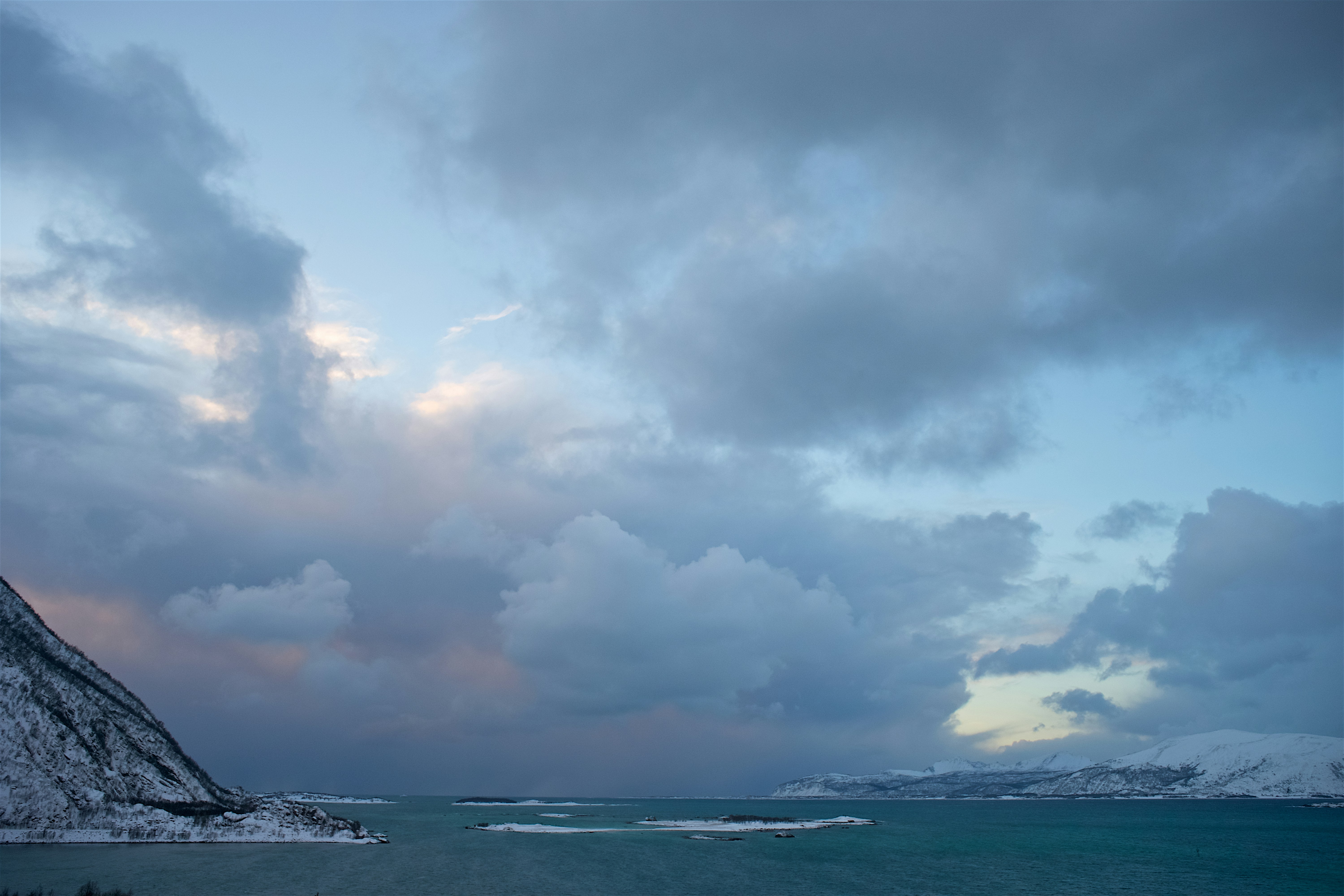 Photo by wolfgang_hasselmann