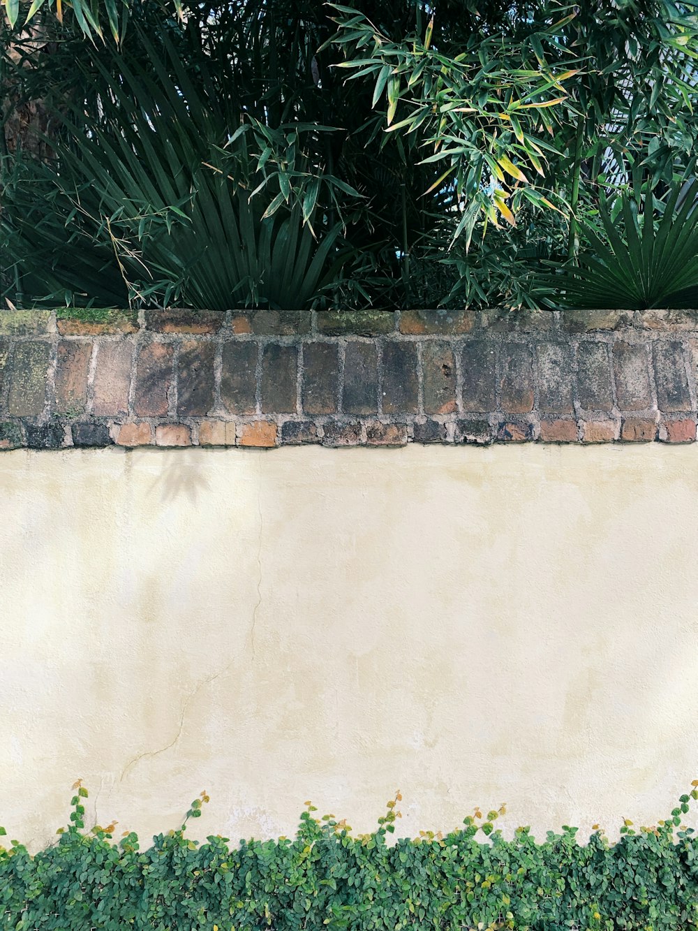 beige and brown wall beside green leaves
