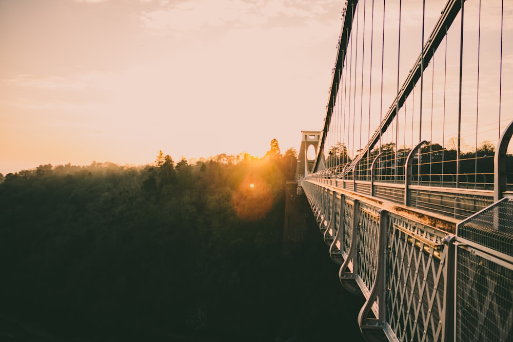 bridge during golden hour