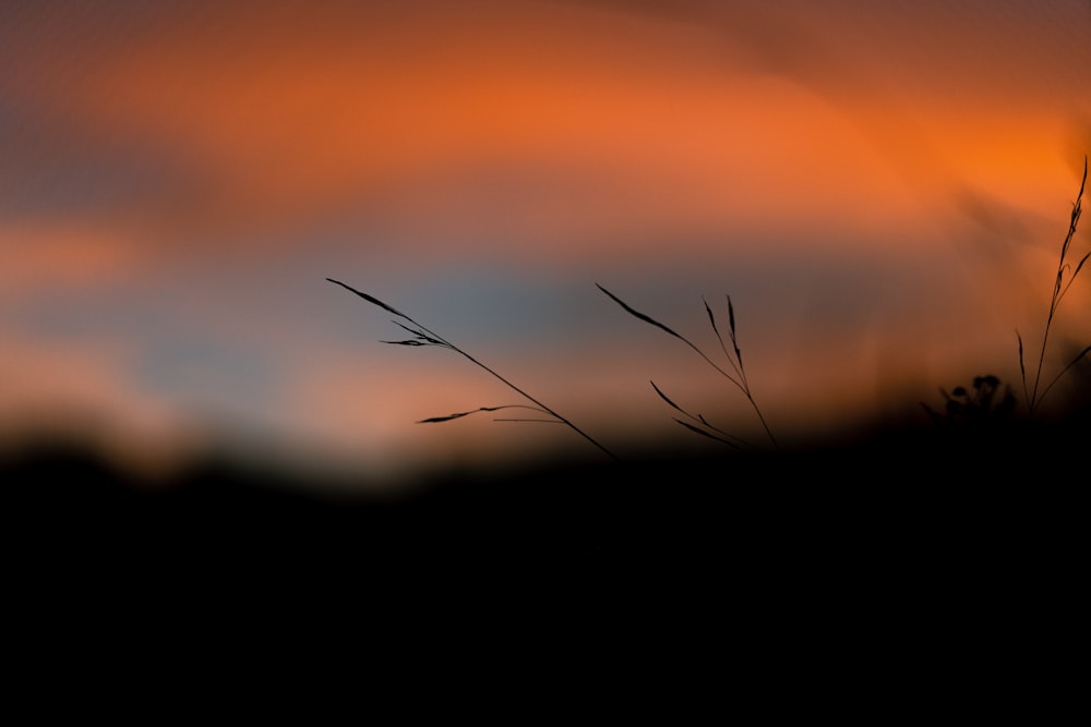 sky during golden hour