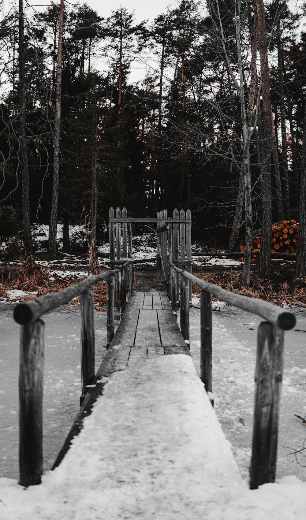 passerelle en bois gris recouverte de neige entourée d’arbres verts