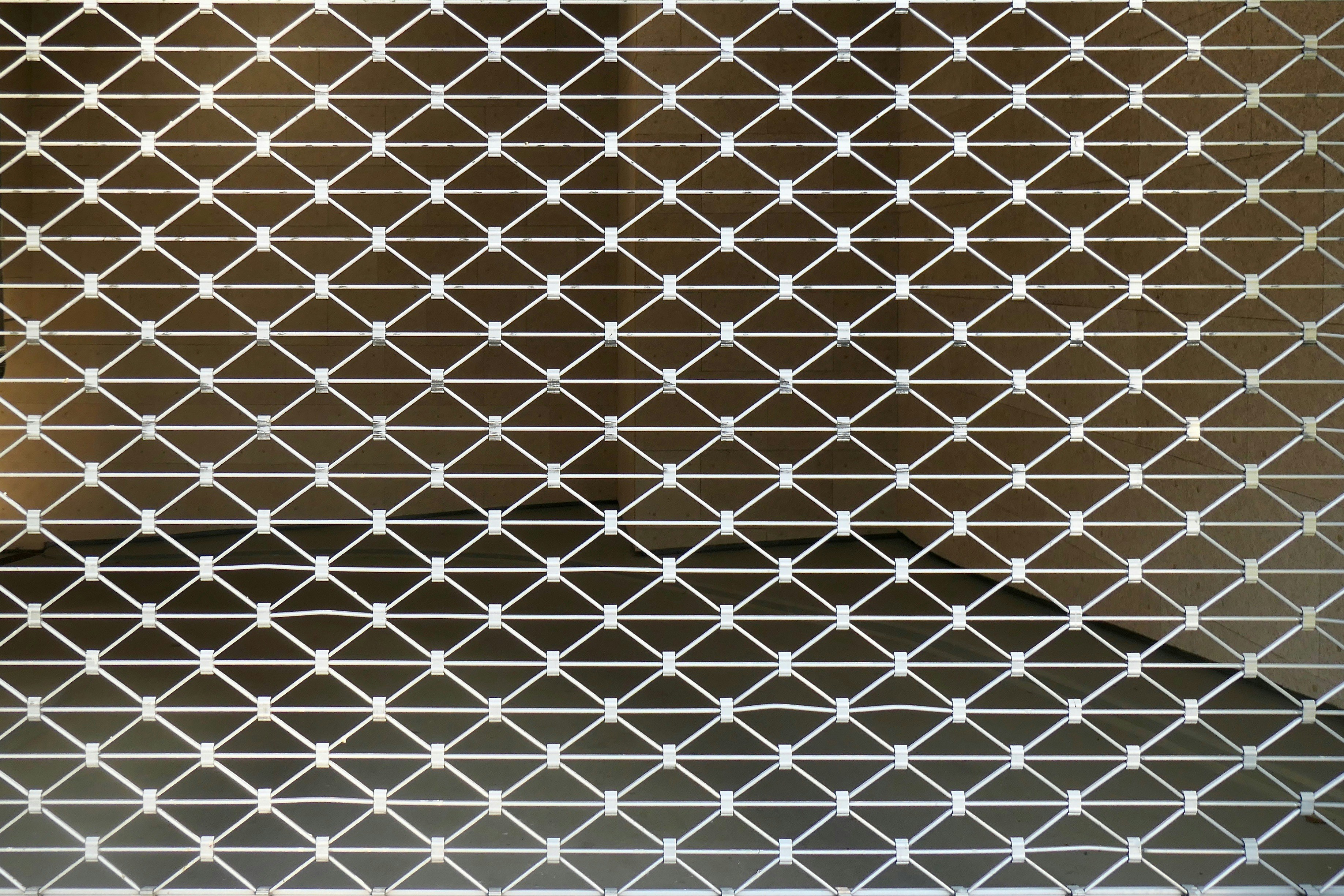 The Temperature Wars: How 98.6°F Became Life's Sweet Spot