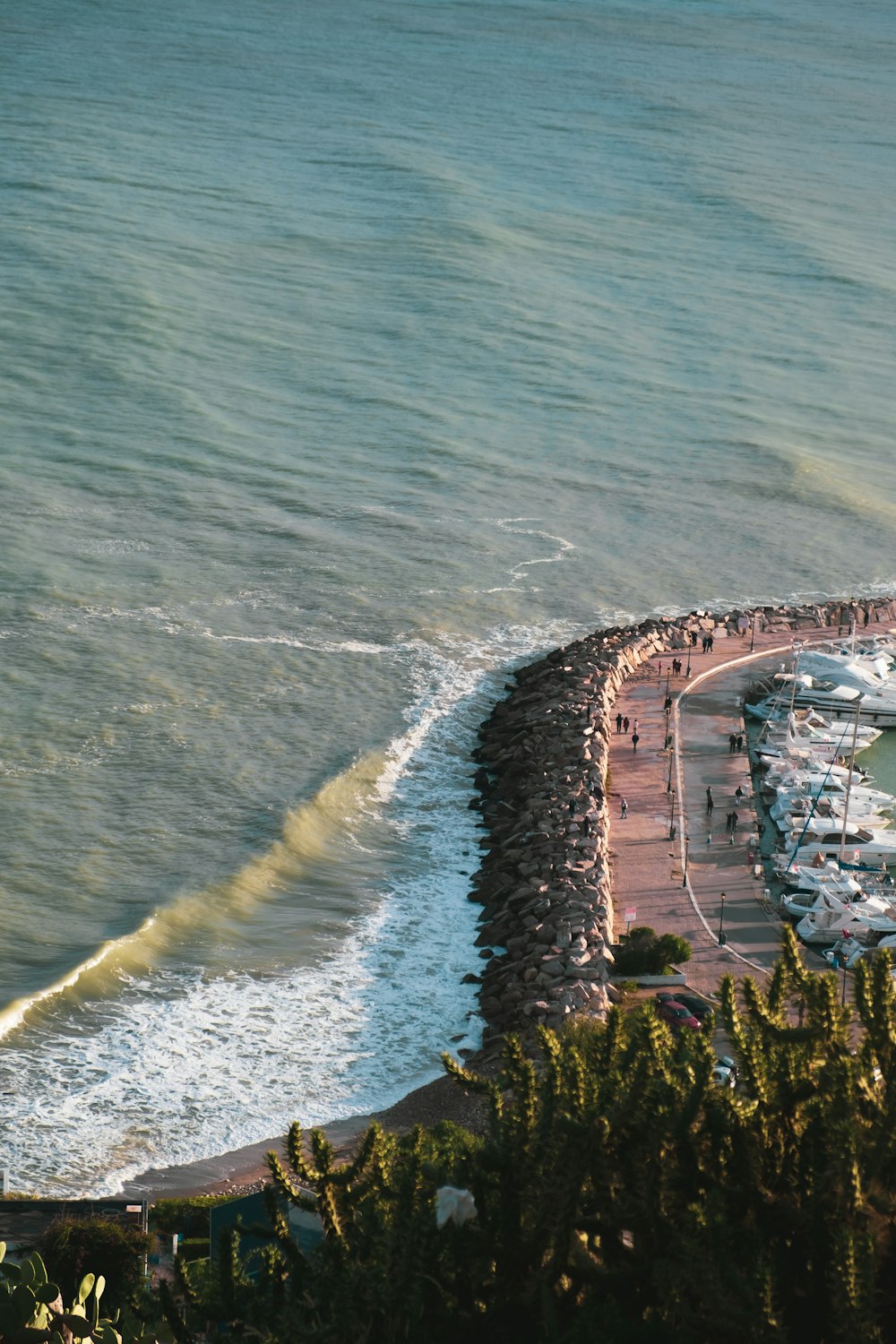 people on island during day