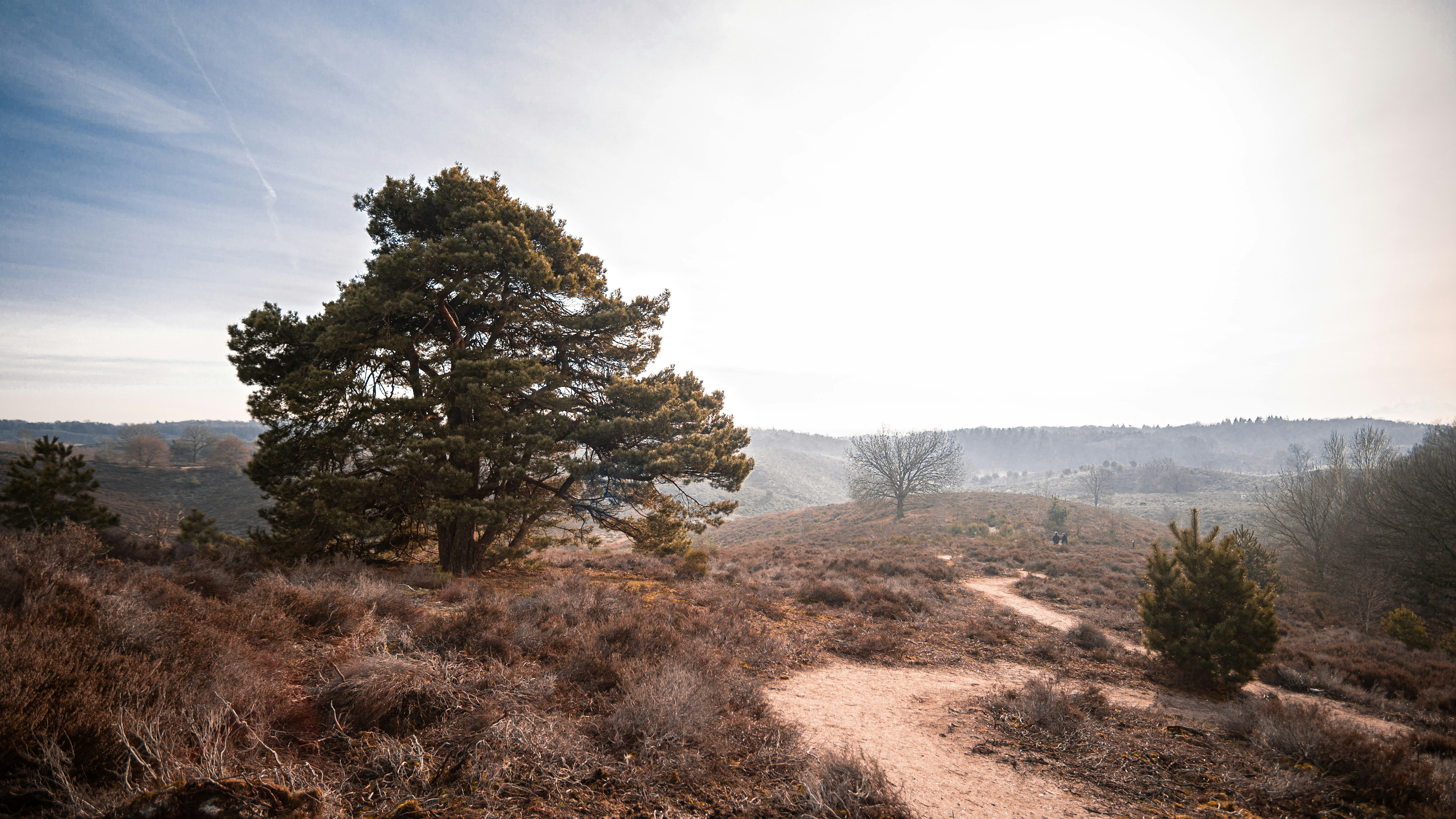 Photo by michaelfousert