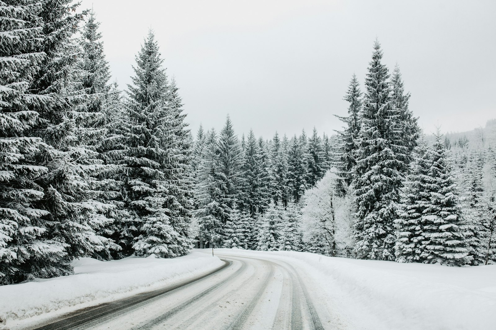 Canon EOS 5D Mark II + Canon EF 35mm F1.4L II USM sample photo. Snow covered trees during photography