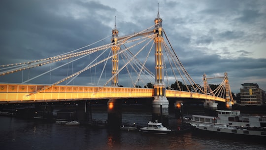 brown concrete bridge in Battersea Park United Kingdom