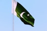 white and green flag