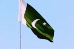 white and green flag