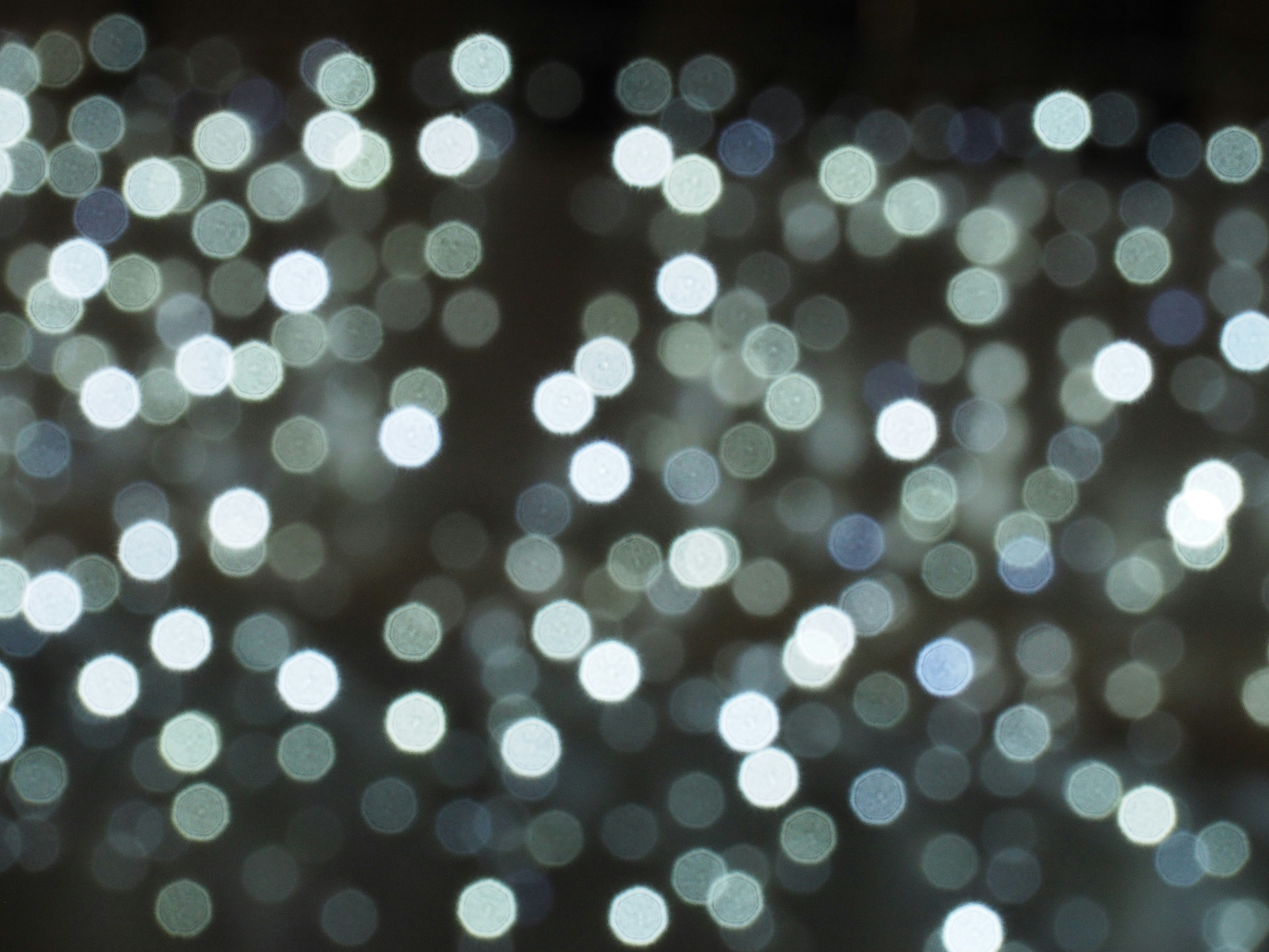 Photo by nimbus_vulpis