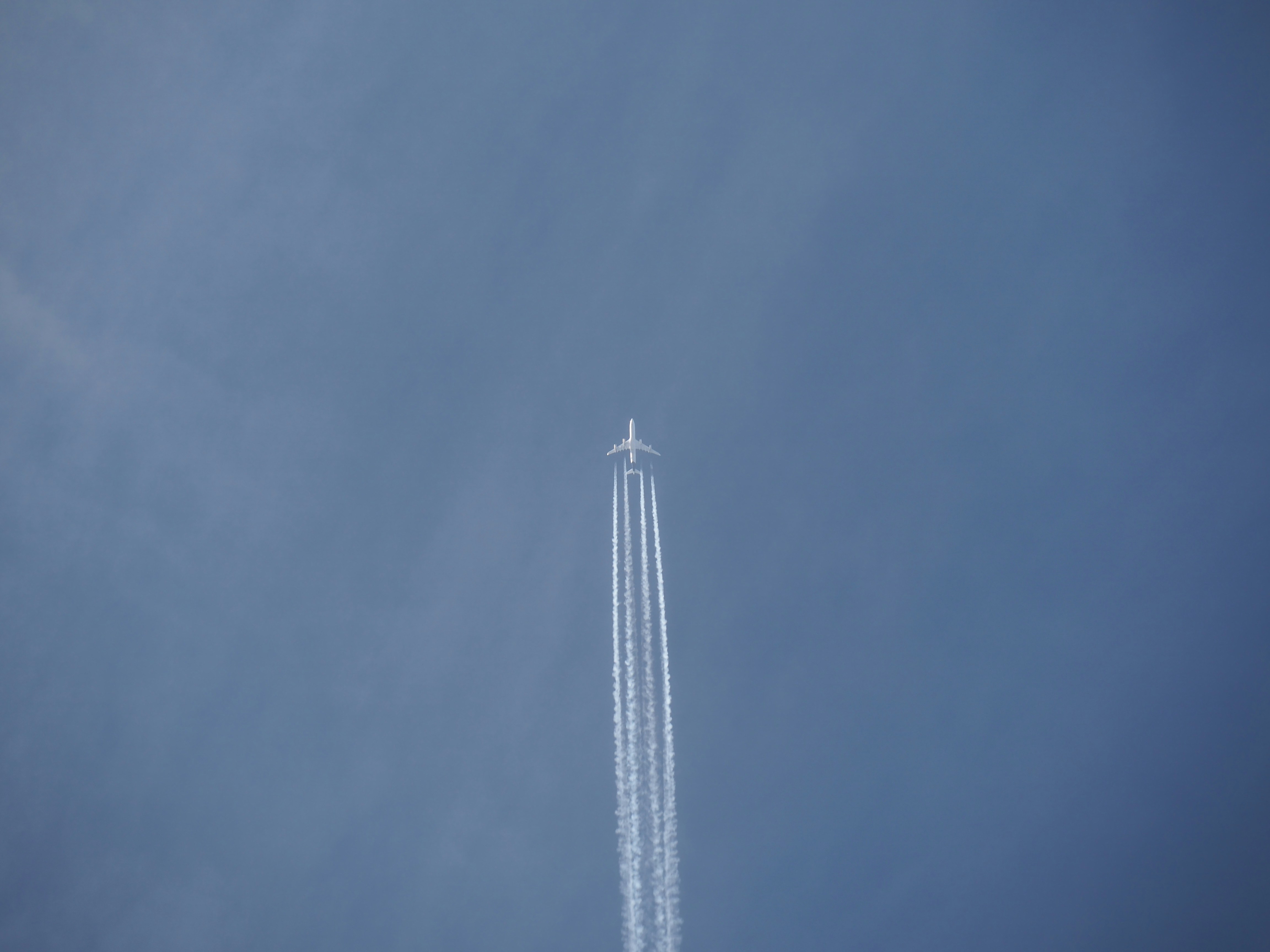 Photo by nimbus_vulpis