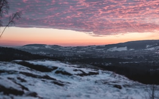A serene Finnish landscape featuring blue and purple hues.