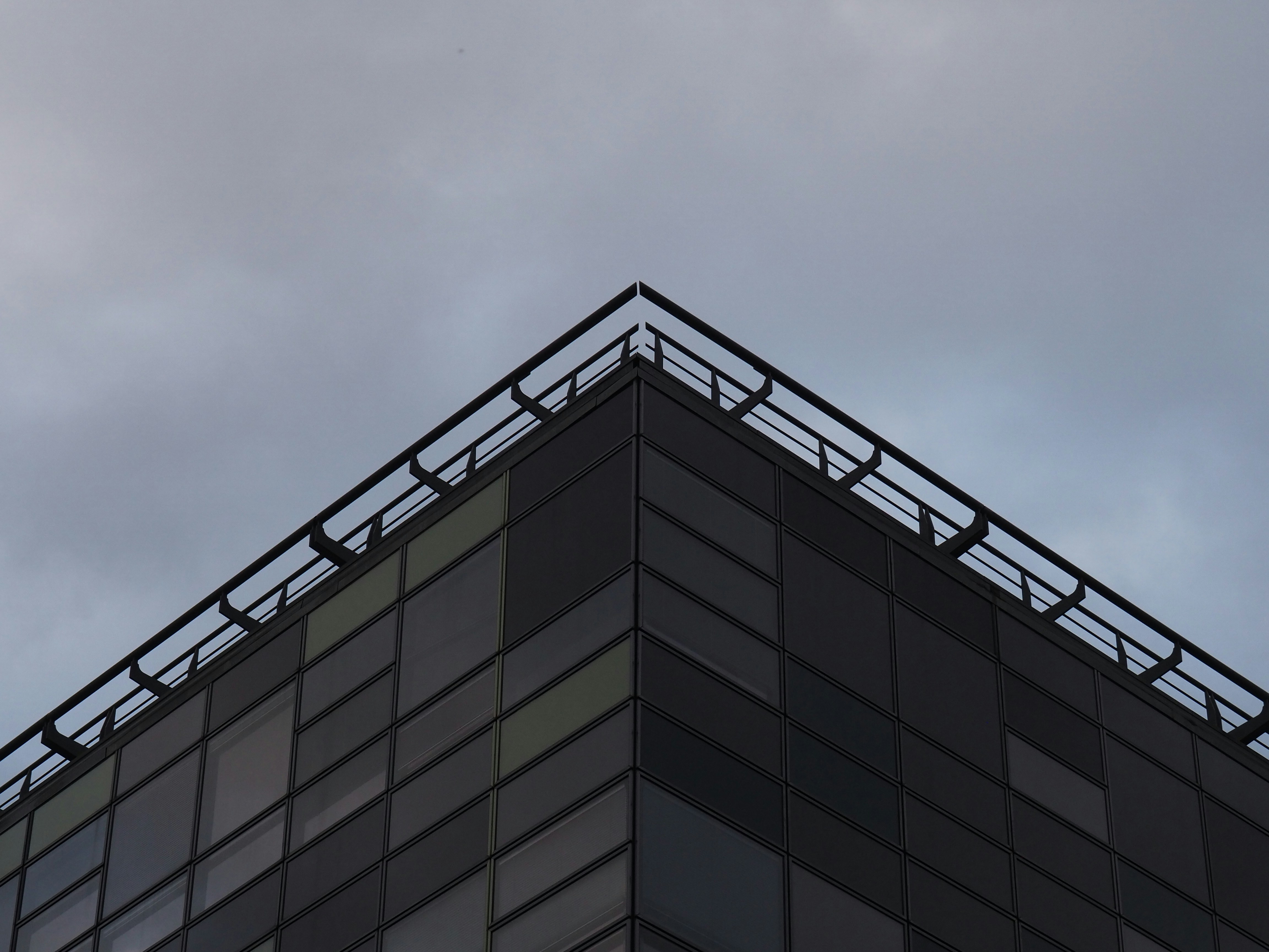 Photo by nimbus_vulpis