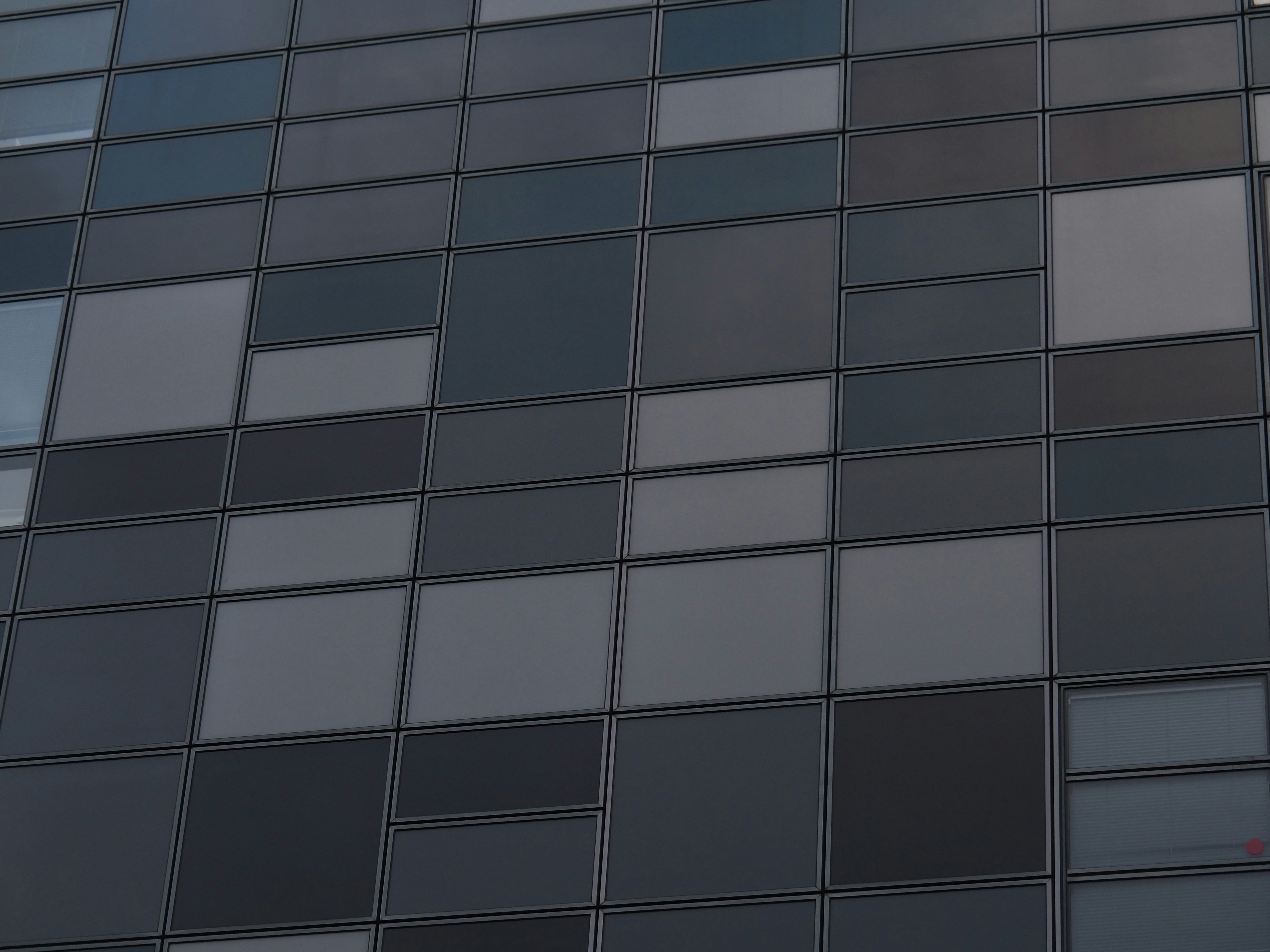 Photo by nimbus_vulpis