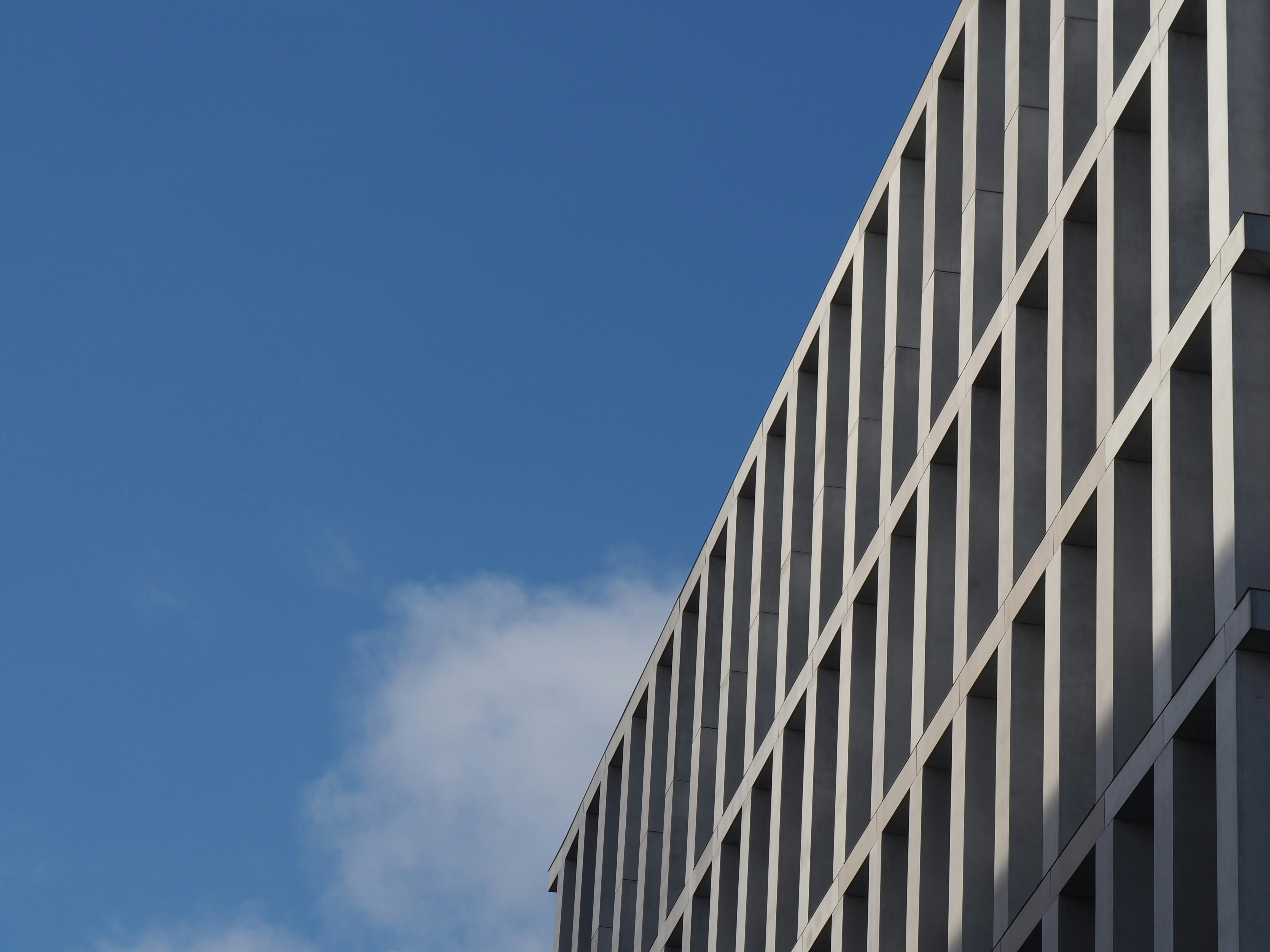 Photo by nimbus_vulpis