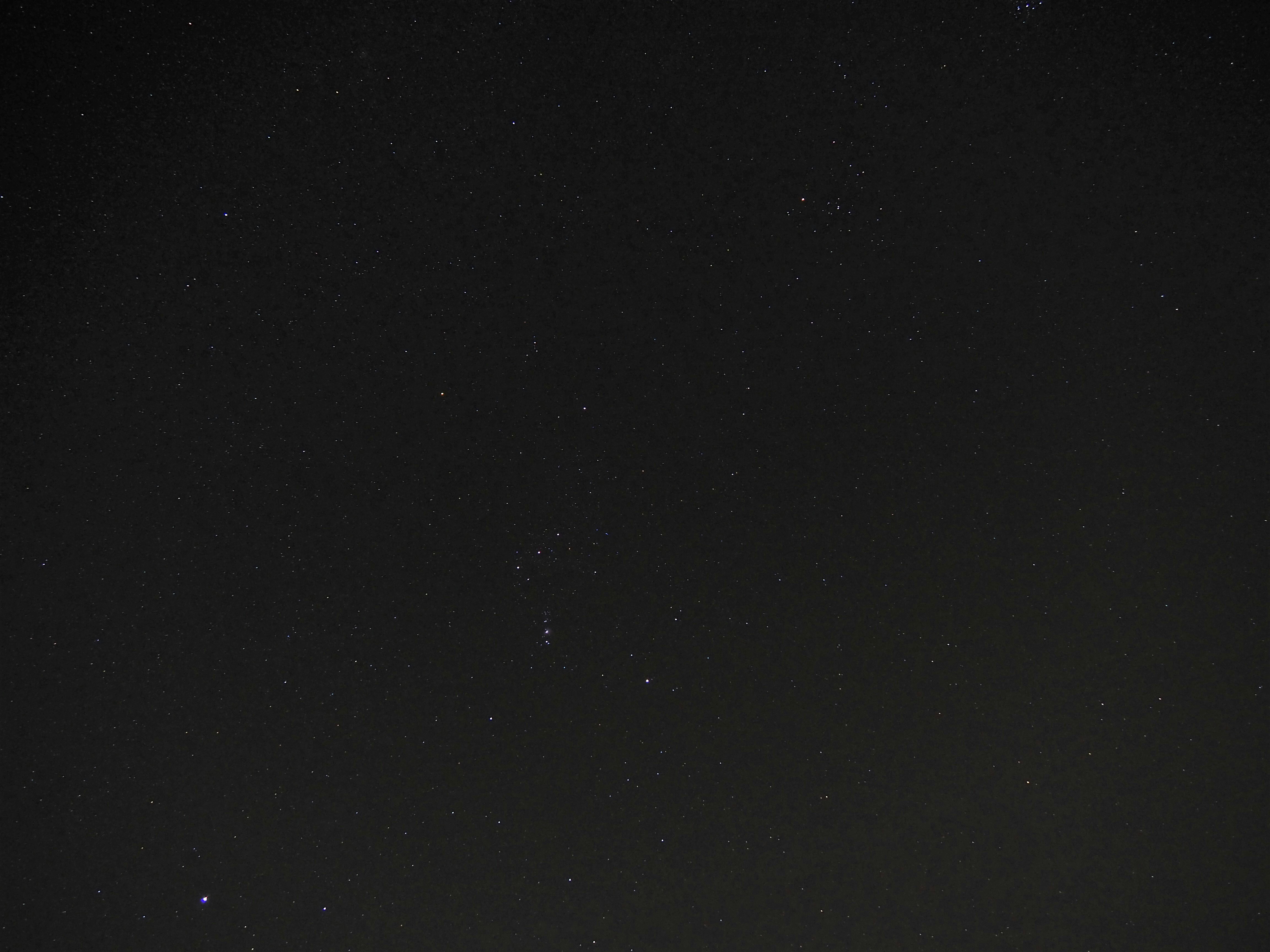 Photo by nimbus_vulpis