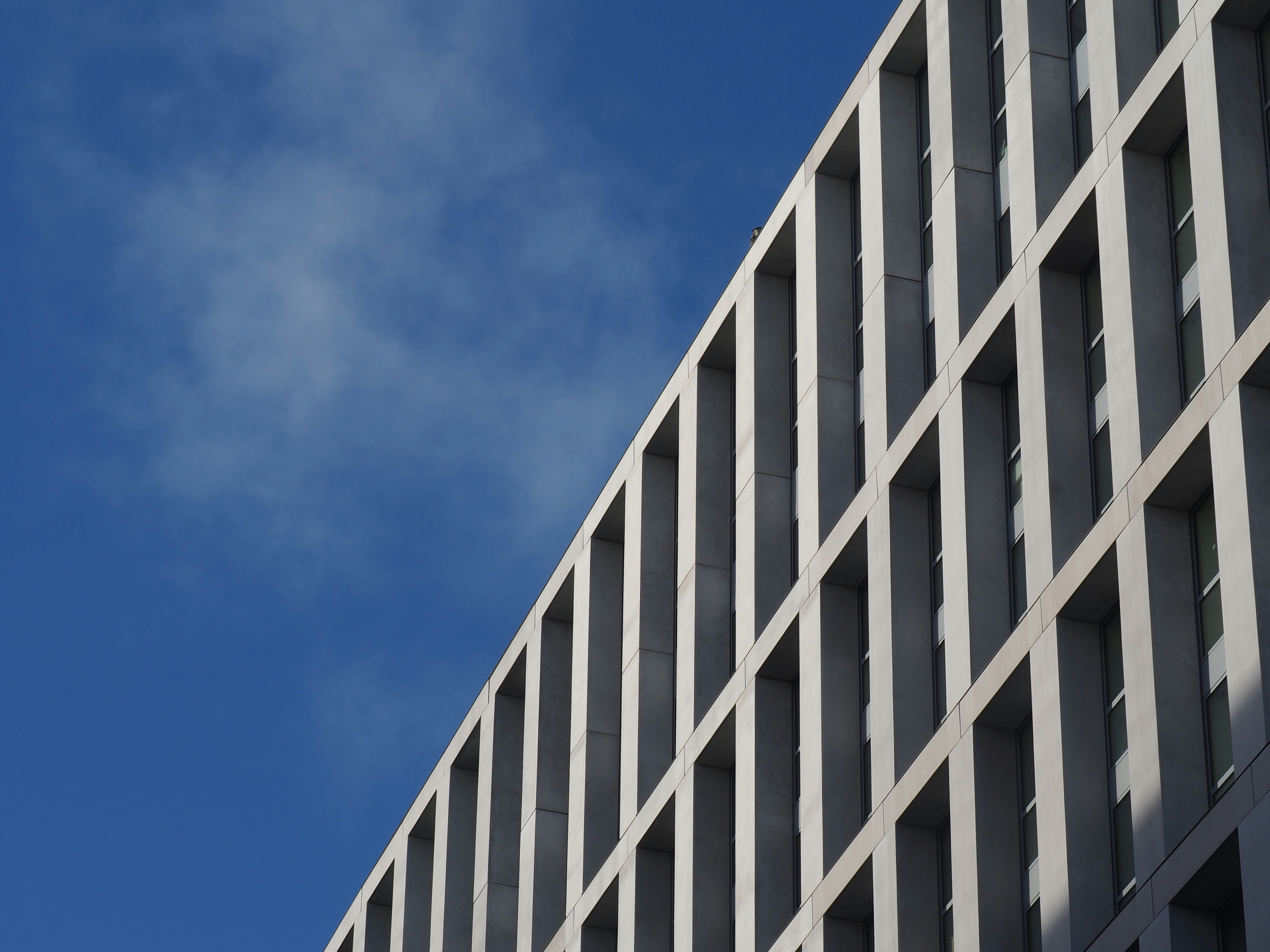 Photo by nimbus_vulpis