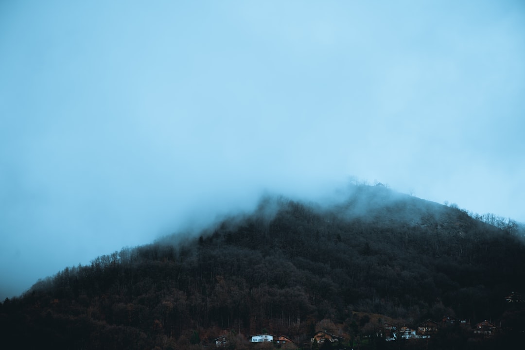 houses on field viewing mountain in foggy day