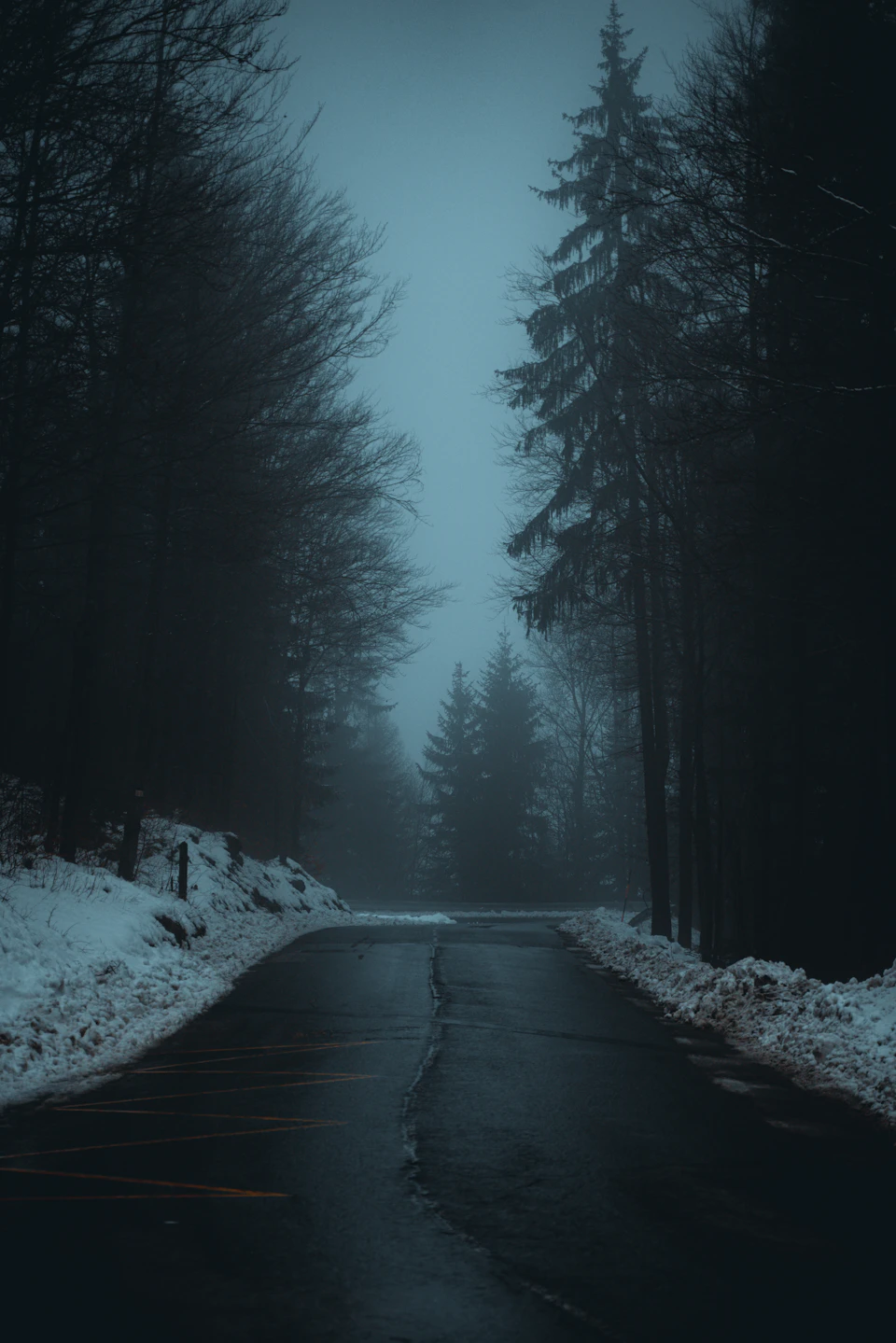 The image depicts a serene winter scene on an empty, two-lane road surrounded by tall trees with bare branches reaching towards the overcast sky. The road is blanketed in snow and ice, reflecting the muted light from above. A few small patches of grass are visible at the bottom of the slope where the road meets the forest floor.

The perspective of the image is taken from a low angle, looking up towards the trees on either side of the road. The overcast sky casts a soft, diffused light that enhances the tranquil atmosphere of the scene.