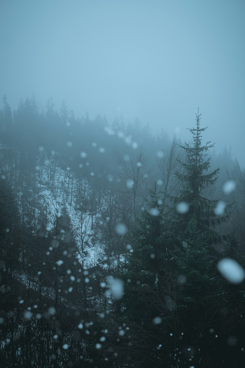 Luftaufnahmen von schneebedeckten Feldern und Bäumen an nebligen Tagen