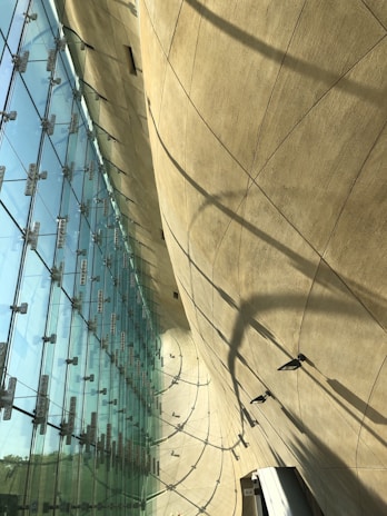 Curved architectural structure with a large glass facade. The design features intricate shadows and reflections, highlighted by sunlight streaming through the glass panels. The wall has a textured appearance with minimalistic lines and light fixtures.