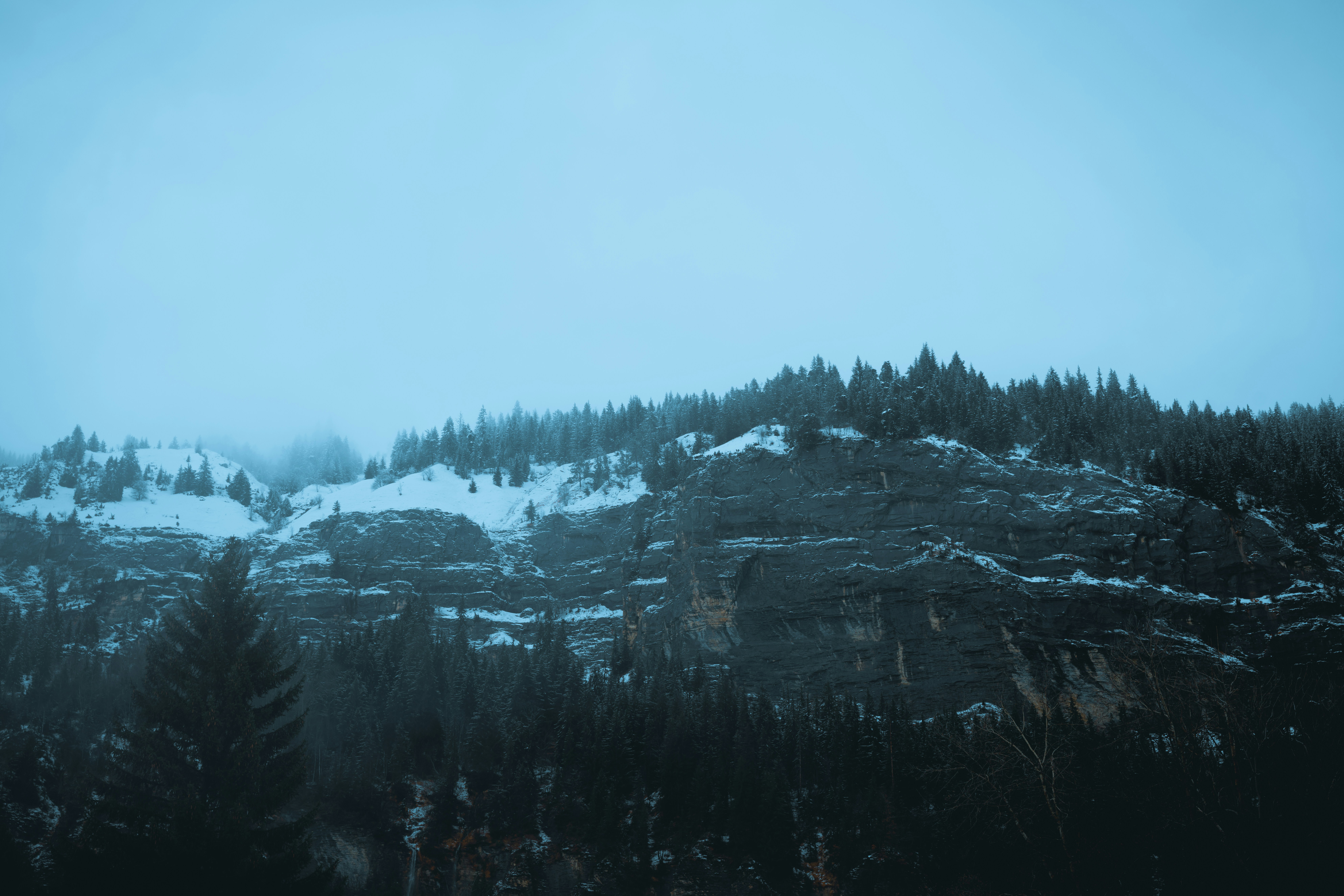 a mountain covered in snow next to a forest