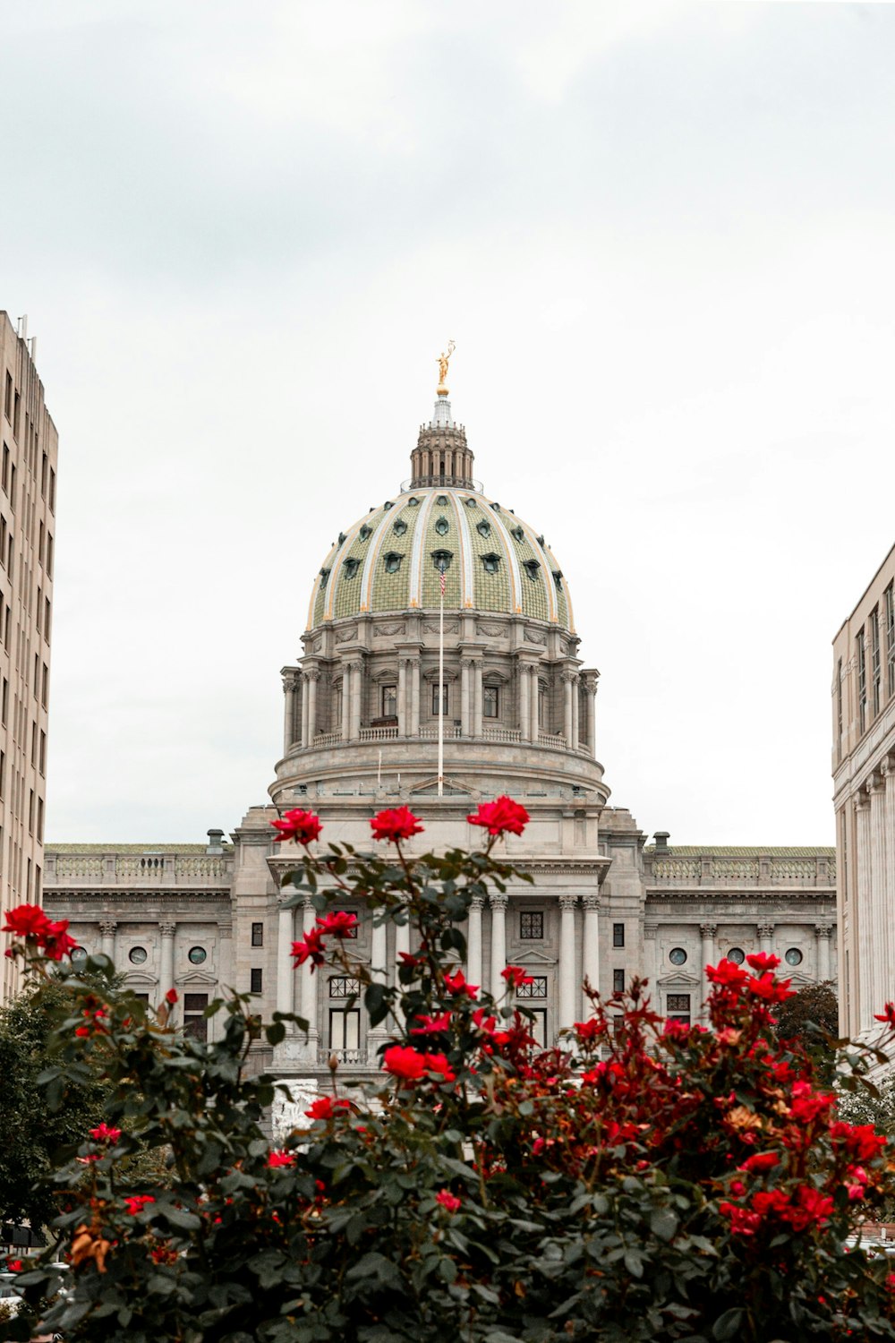 Capitole de l’État de Pennsylvanie près des fleurs de roses rouges