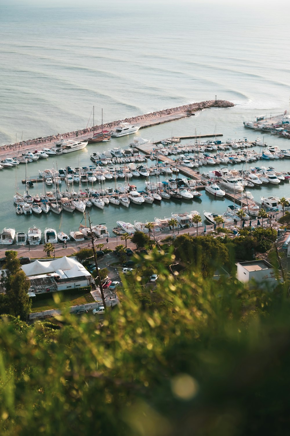 aerial photo of boats on body of water during daytime