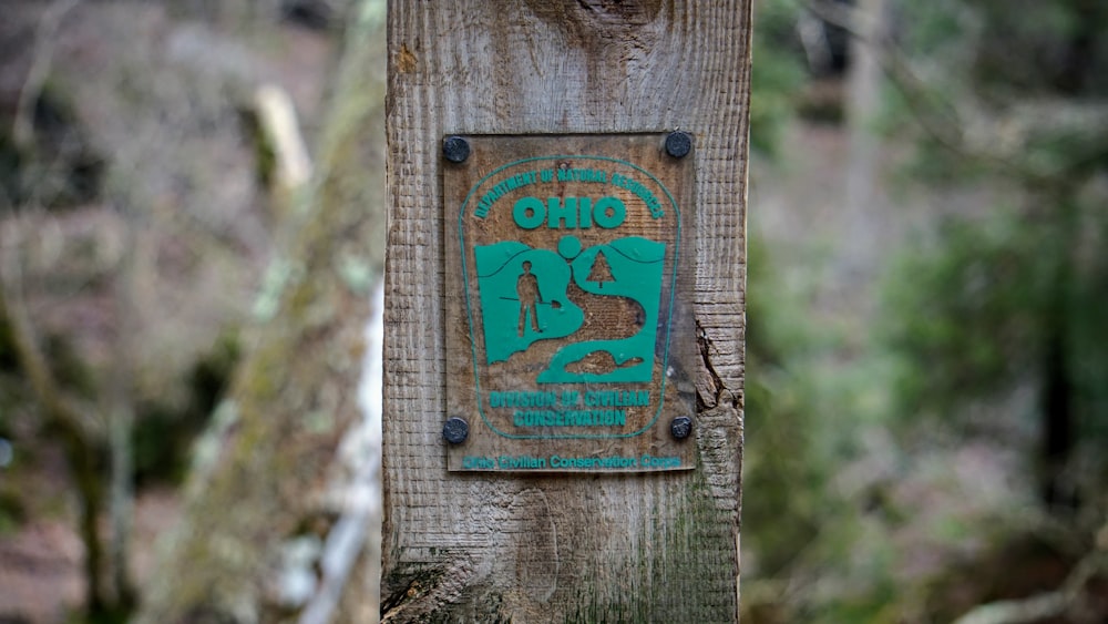 shallow focus photo of brown and teal signage