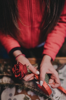 person holding red rose flower and red ribbon