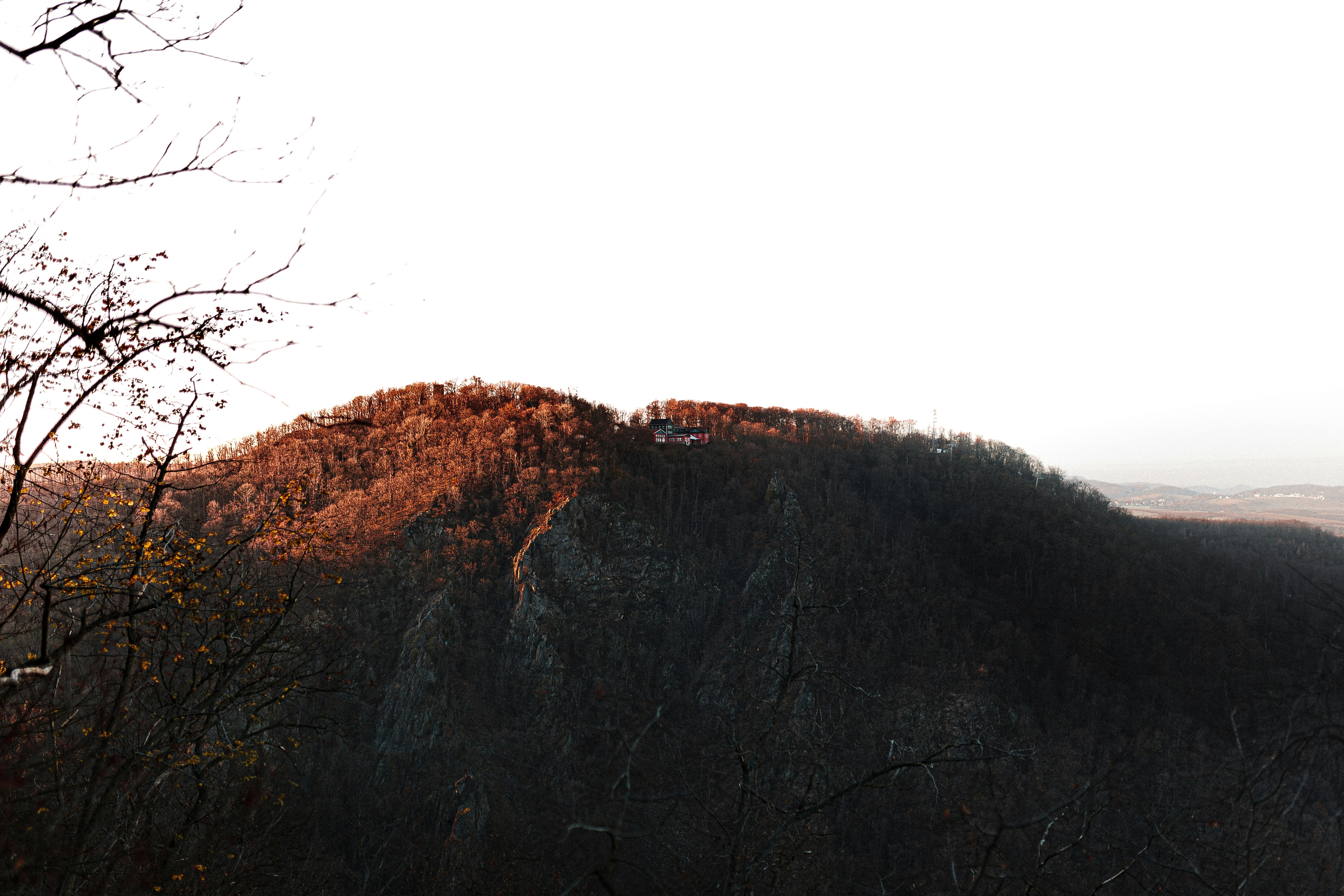 Photo by _konstantinhhopp