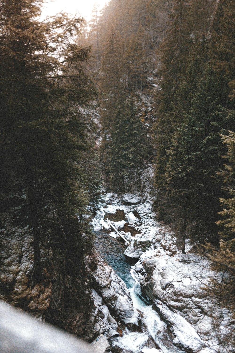 aerial photograph of river