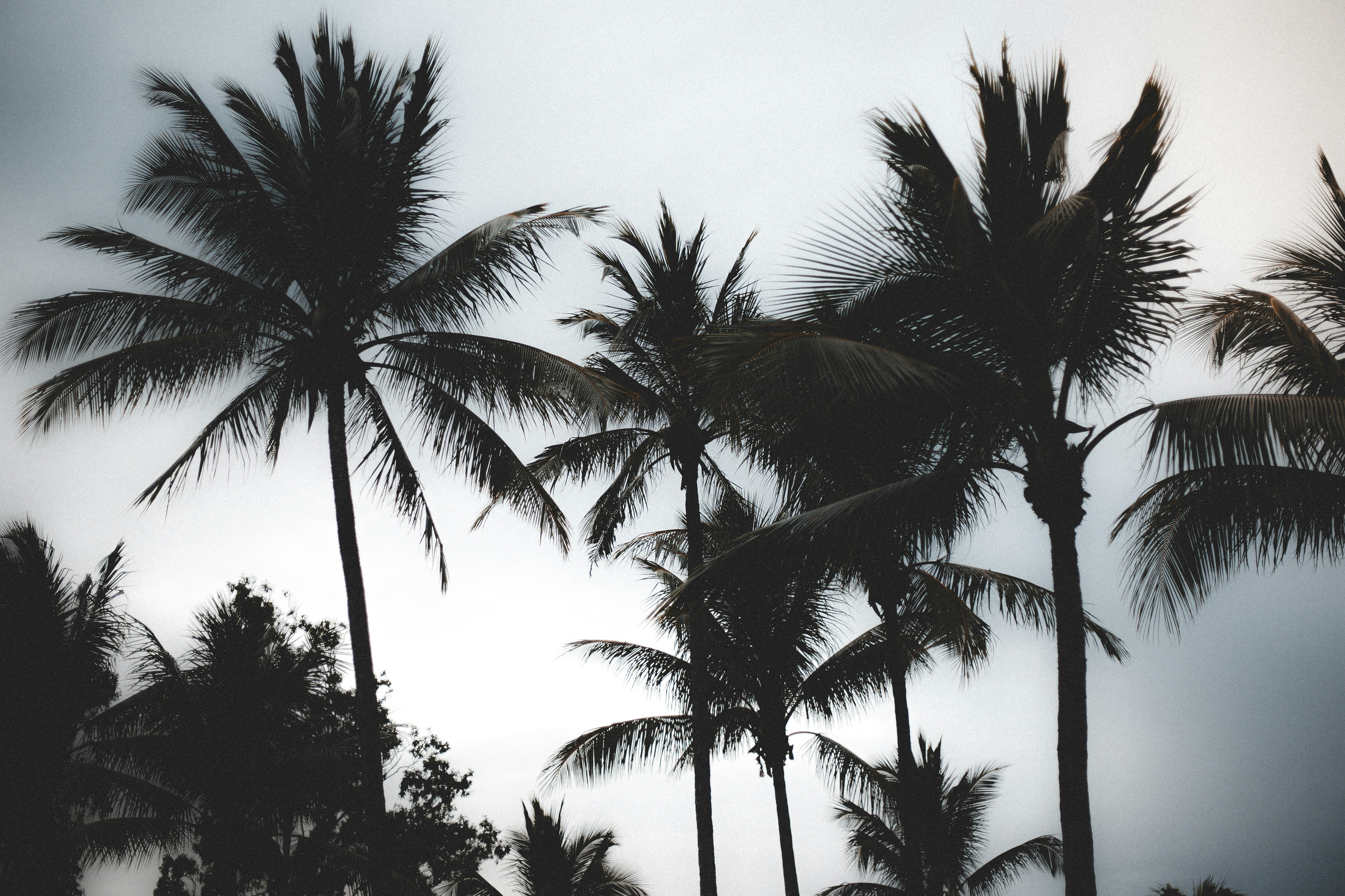 Photo by _konstantinhhopp