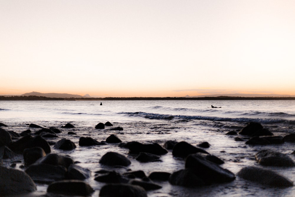 rocks on beach