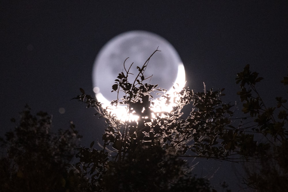 photograph of moon