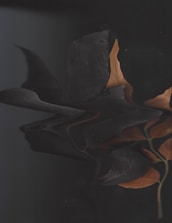 A distorted image of leaves with a mix of dark and earthy tones. The leaves appear to have been scanned or digitally altered, creating a wavy and warped appearance. The overall image is dark, yet highlights the brownish color of the leaves.