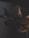 A distorted image of leaves with a mix of dark and earthy tones. The leaves appear to have been scanned or digitally altered, creating a wavy and warped appearance. The overall image is dark, yet highlights the brownish color of the leaves.