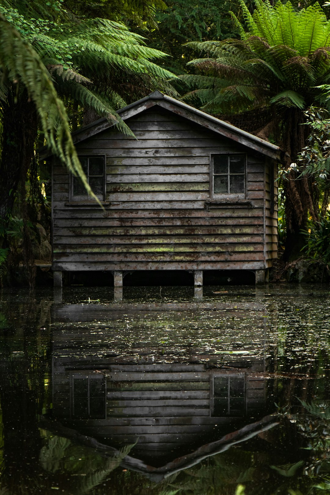 brown wooden shed beside body of water