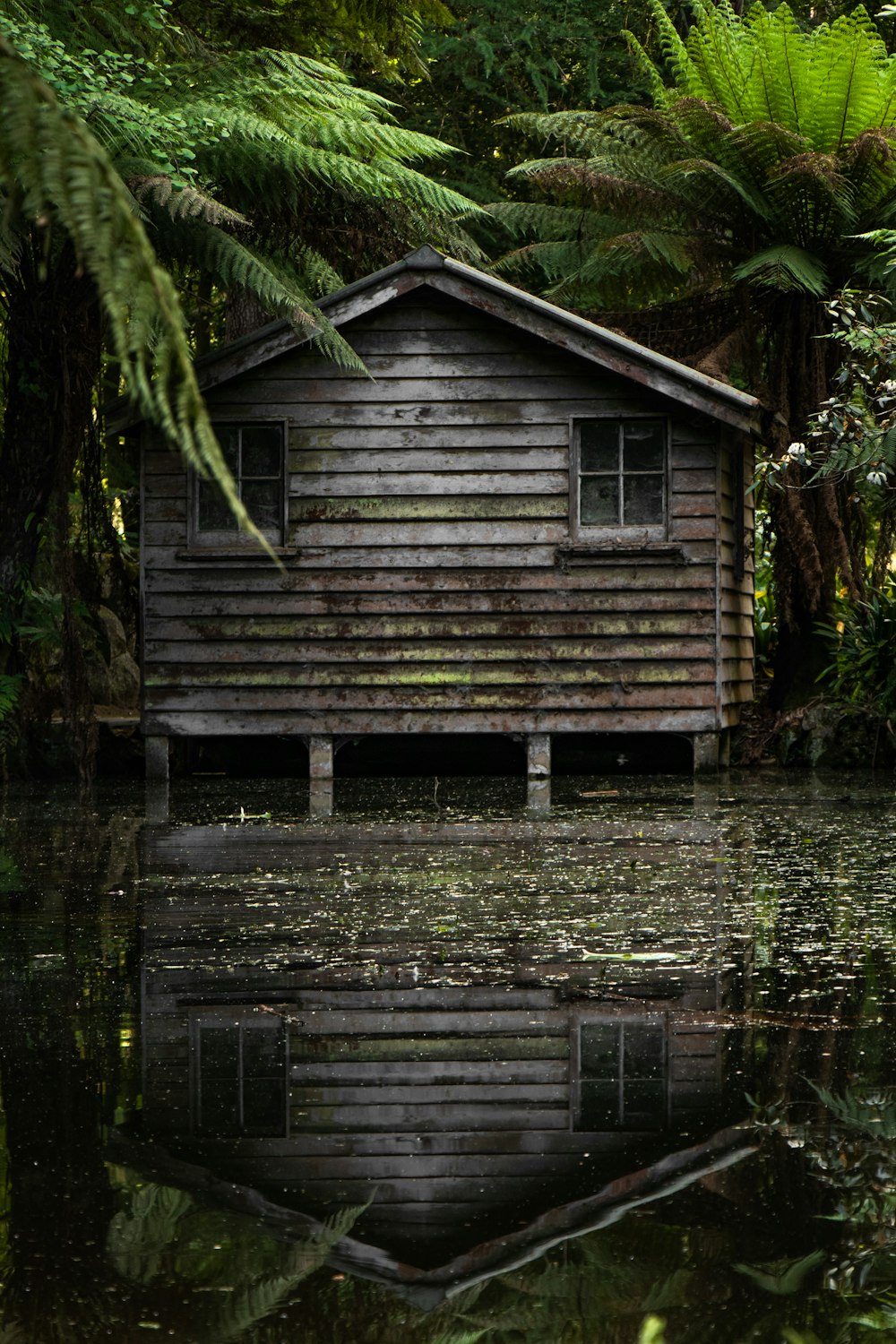 brown wooden shed beside body of water