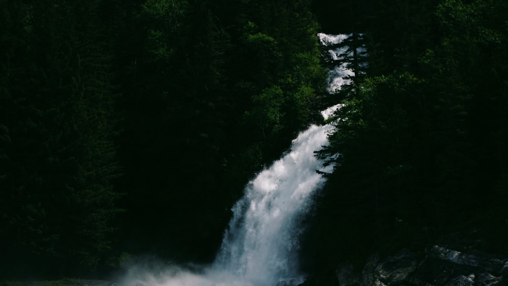 cascadas con árboles a los lados