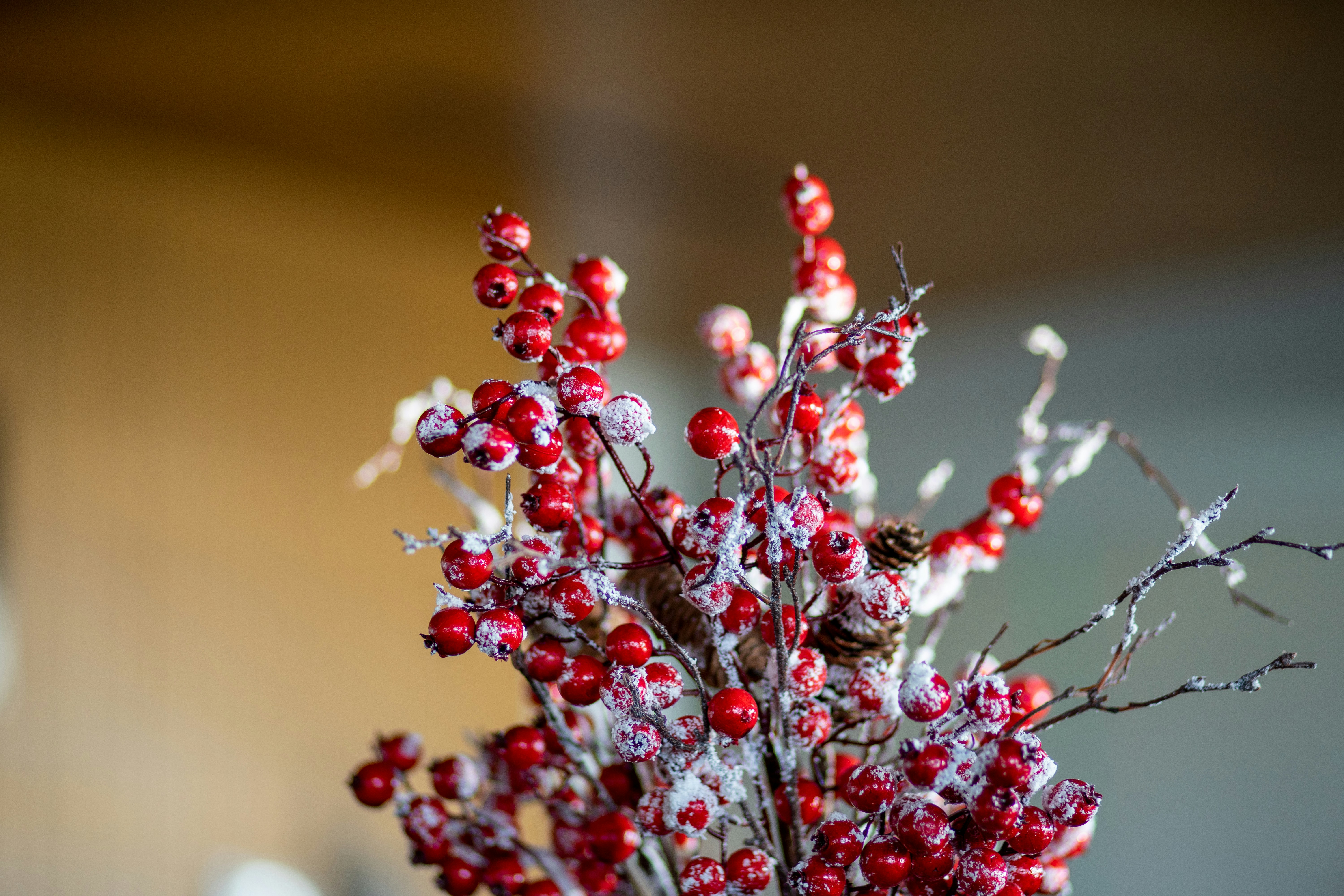 Photo by denisseleon