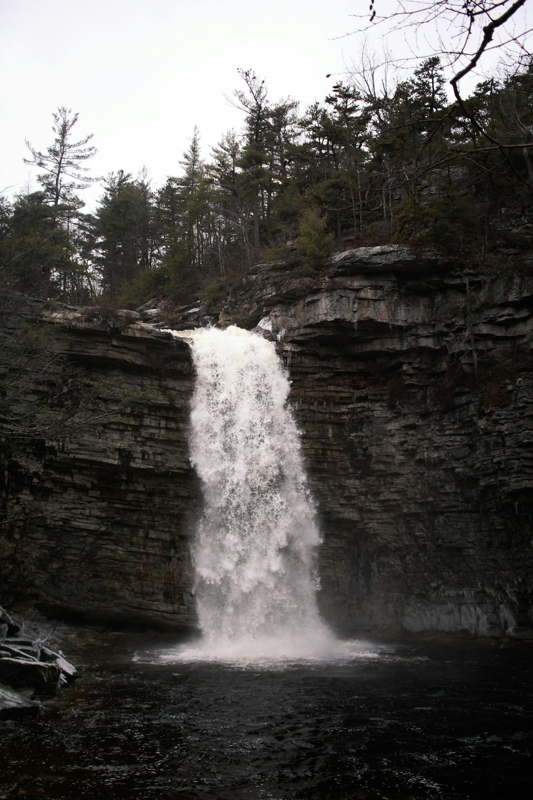 shallow focus photo of waterfalls during daytime