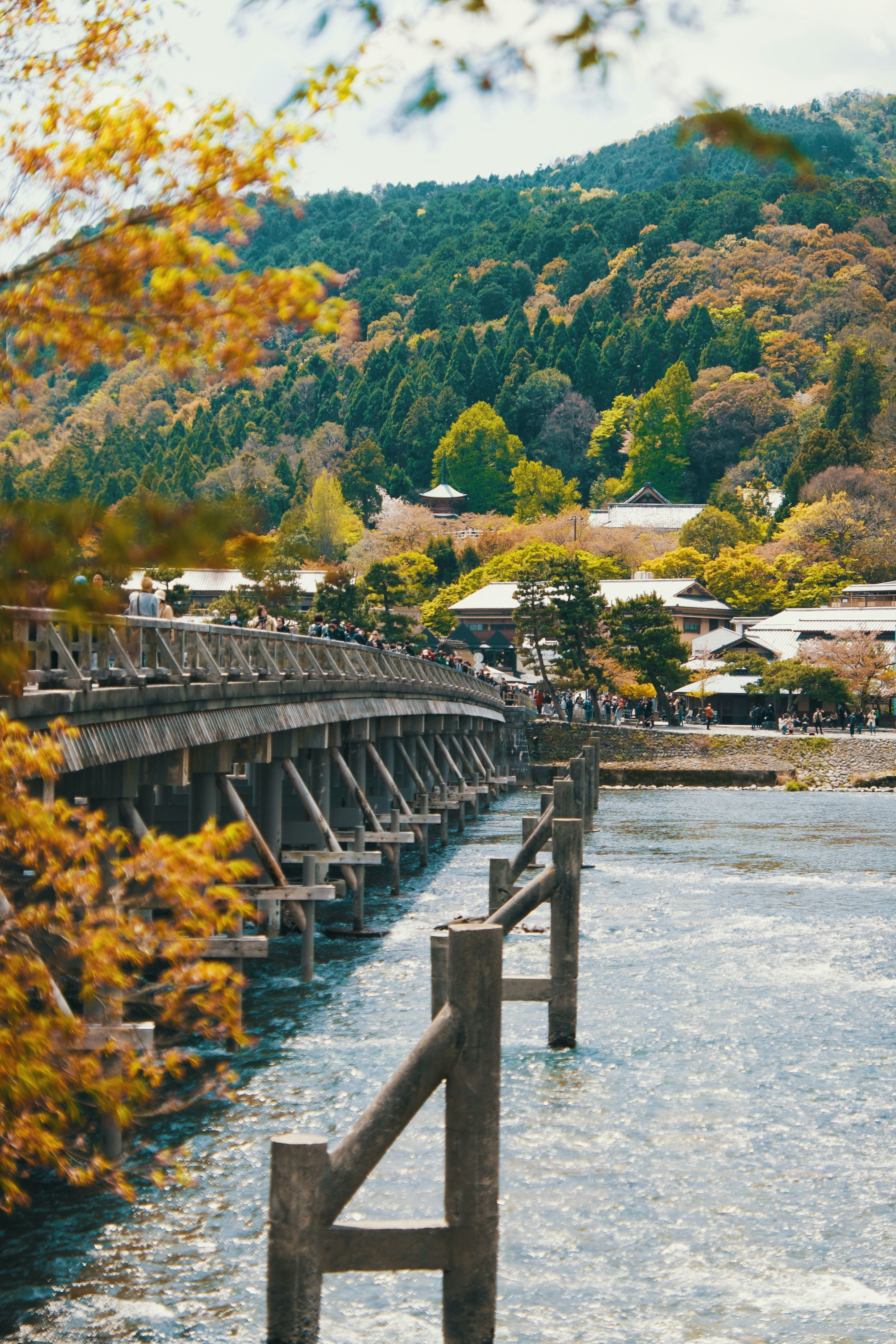 Photo by nomadicjulien