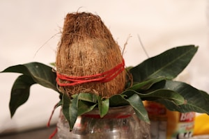 Herbal Infused Oil